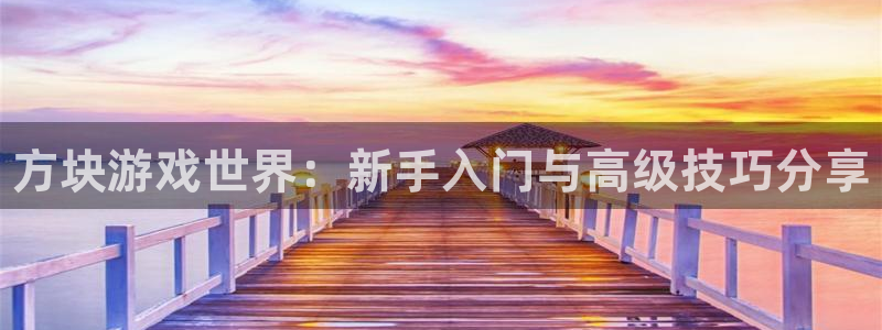 长征娱乐4招商：方块游戏世界：新手入门与高级技巧分享