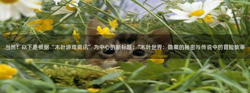 长征娱乐app下载：当然！以下是根据“木叶游戏资讯”为中心的