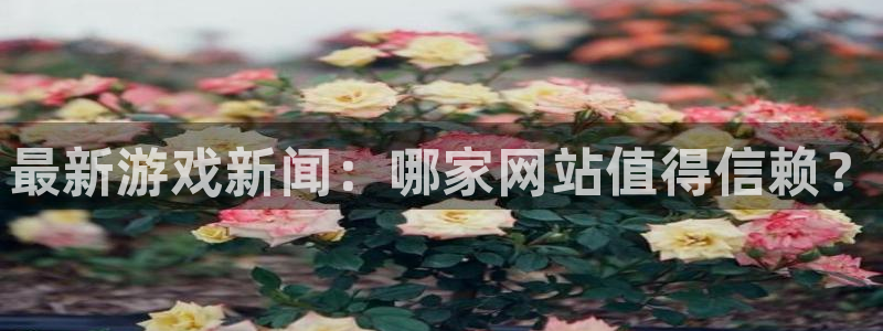 手机版长征娱乐客户端下载：最新游戏新闻：哪家网站值得信赖？