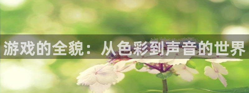 长征娱乐直属：游戏的全貌：从色彩到声音的世界