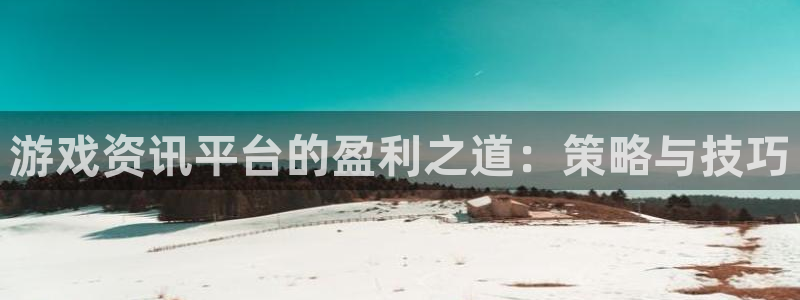长征娱乐网址注册：游戏资讯平台的盈利之道：策略与技巧