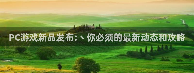 长征娱乐直属：PC游戏新品发布:丶你必须的最新动态和攻略