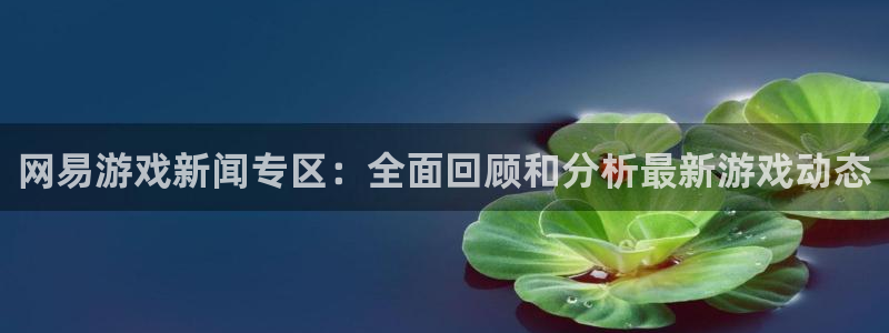 长征娱乐app：网易游戏新闻专区：全面回顾和分析最新游戏动态