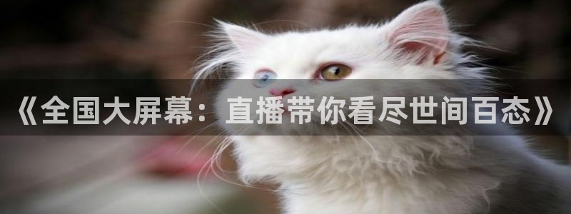 360雨燕足球高清免费直播