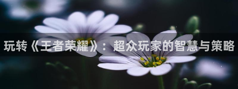 长征娱乐股东直176五827臬