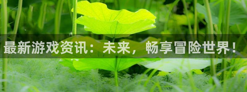 长征娱乐：最新游戏资讯：未来，畅享冒险世界！
