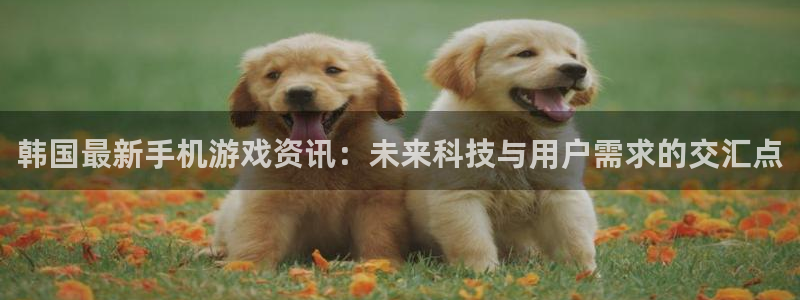 长征娱乐官网网址是多少：韩国最新手机游戏资讯：未来科技与用户